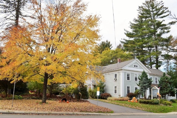 Maple Terrace Motel (Williamstown)